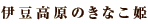 ɓ̂ȂP
